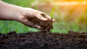 Why Some Vegetable Growers Don’t Use Precision Tools [2019 State of the Vegetable Industry]