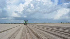 The COVID-19 Impact on Vegetable Plantings in 2020