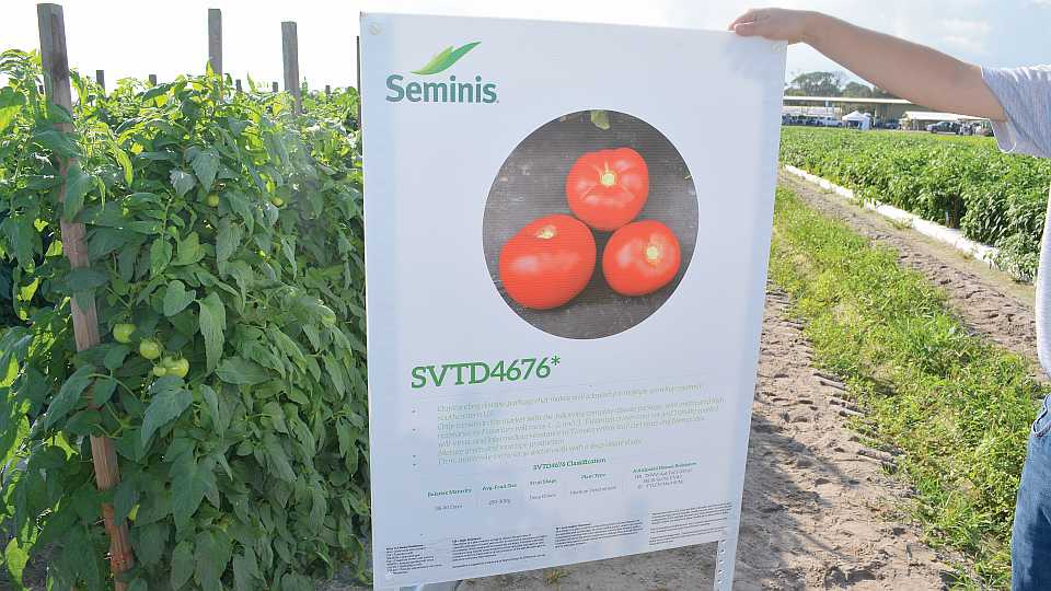 SVTD 4676