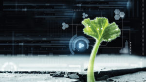 Are There New Sustainability Rules on the Horizon for Vegetable Growers? [Opinion]