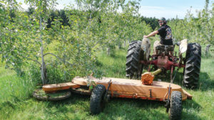 Best Practices for Non-Chemical Orchard Weed Management