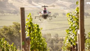 Get a Sharp Look at Precision Ag Use Trends in Fruit