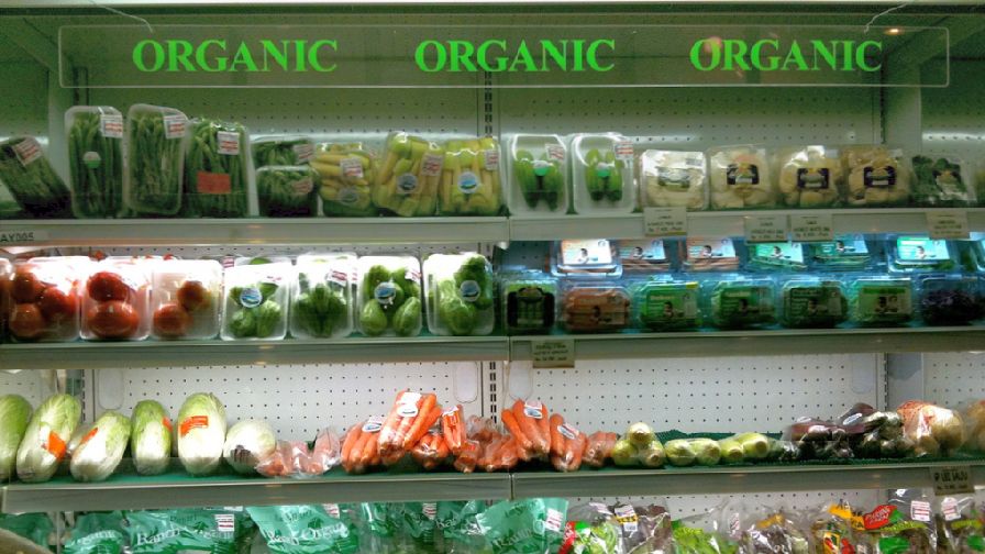 Organic Vegetable Production Jumped in 2018