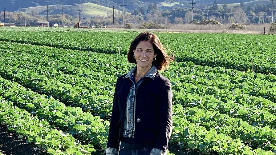 5 Questions to Help Growers Get to the Bottom of CRISPR