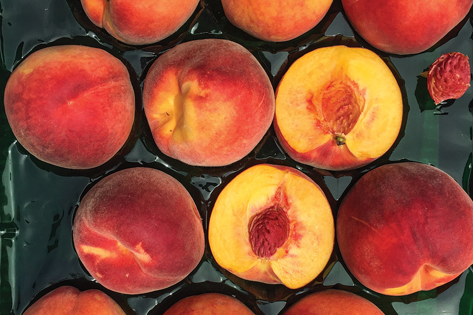 Naming a New Fruit Variety Can Be a Tricky Endeavor