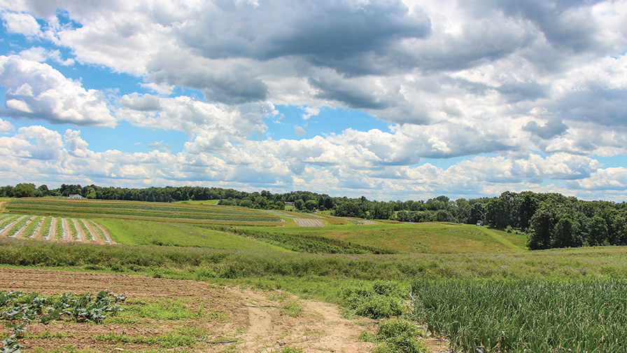 Planning a Sustainable Future for Your Farm