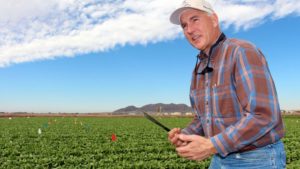 John C. Palumbo, Renowned Entomologist and American Vegetable Grower Columnist, Passes