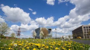 1. How the Best Ag Colleges Around the Globe Stack up in 2022