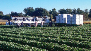 First Hurdle Cleared for Farm Workforce Modernization Act