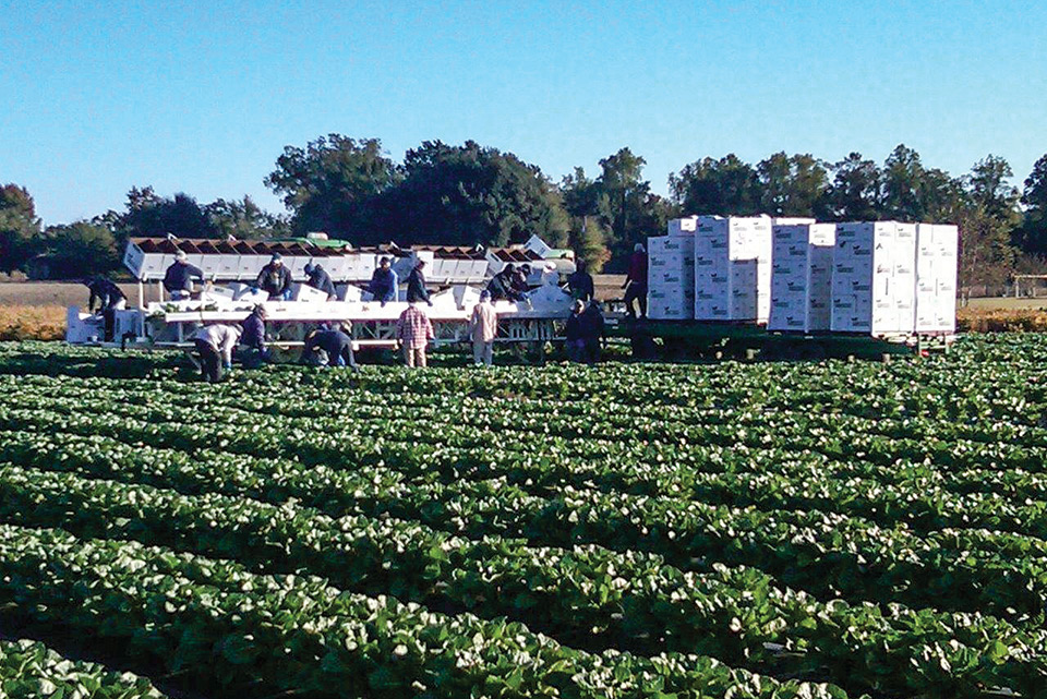 First Hurdle Cleared for Farm Workforce Modernization Act
