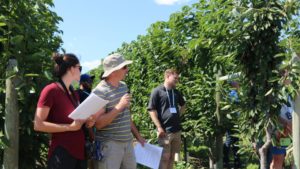 New Research Shines Light on Crop Protection Alternatives to Fumigation
