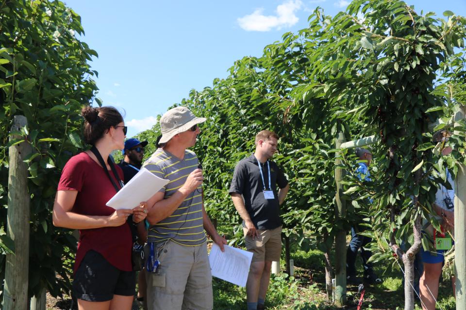New Research Shines Light on Crop Protection Alternatives to Fumigation