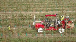 Robotic Apple Harvester Makes Debut in New Zealand