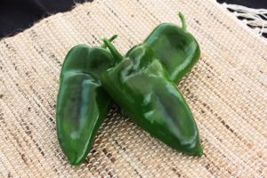 Alteño from Sakata Seed America