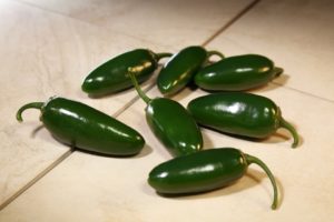 Arango from Sakata Seed America
