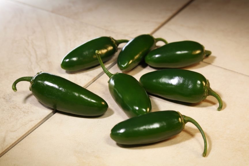 Arango from Sakata Seed America