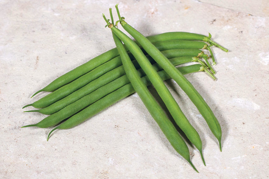 Desperado from Syngenta and Rispens Seeds, Inc.