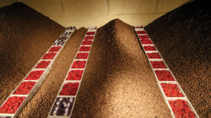 High Generation Potato Plot Storage