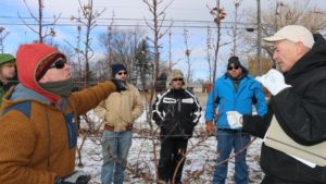 On-Farm Experiments Fruitful for New York Apple Growers