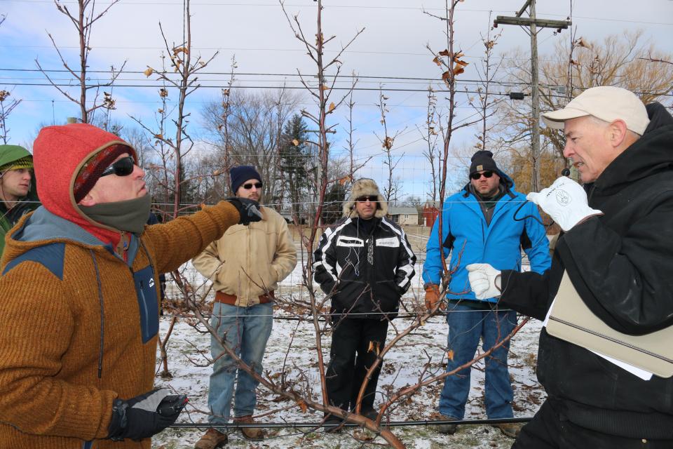 On-Farm Experiments Fruitful for New York Apple Growers