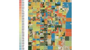 New Resource Helps Almond Growers Pinpoint Yield