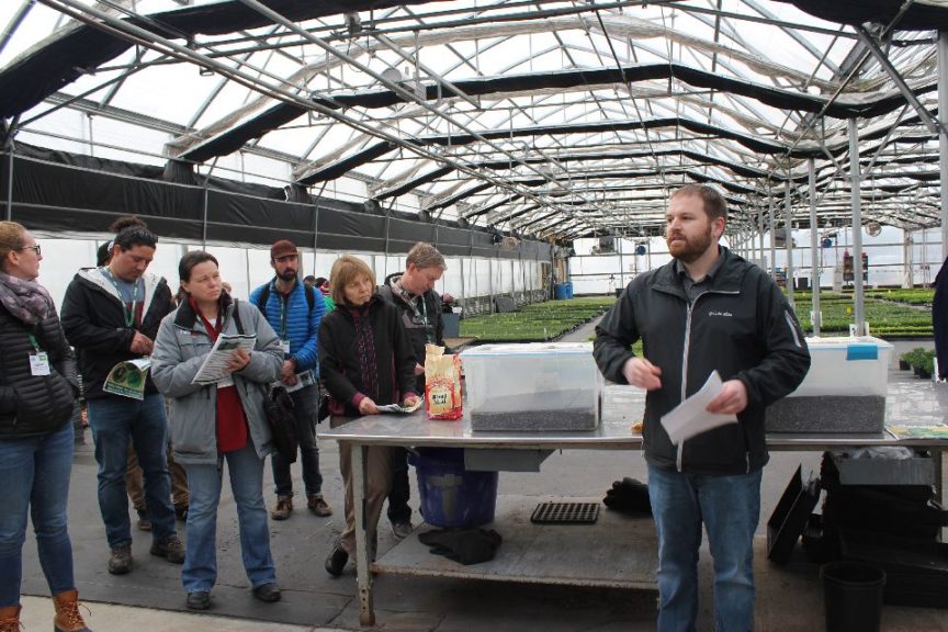 Terra Nova Nurseries