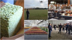 Scenes From the 2019 Pre-Show Biocontrols Farm Tours