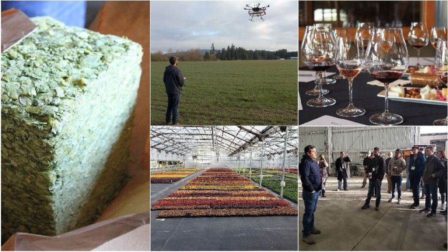 Scenes From the 2019 Pre-Show Biocontrols Farm Tours
