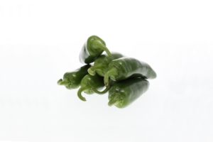 Tzotzil from Seminis and Rispens Seeds