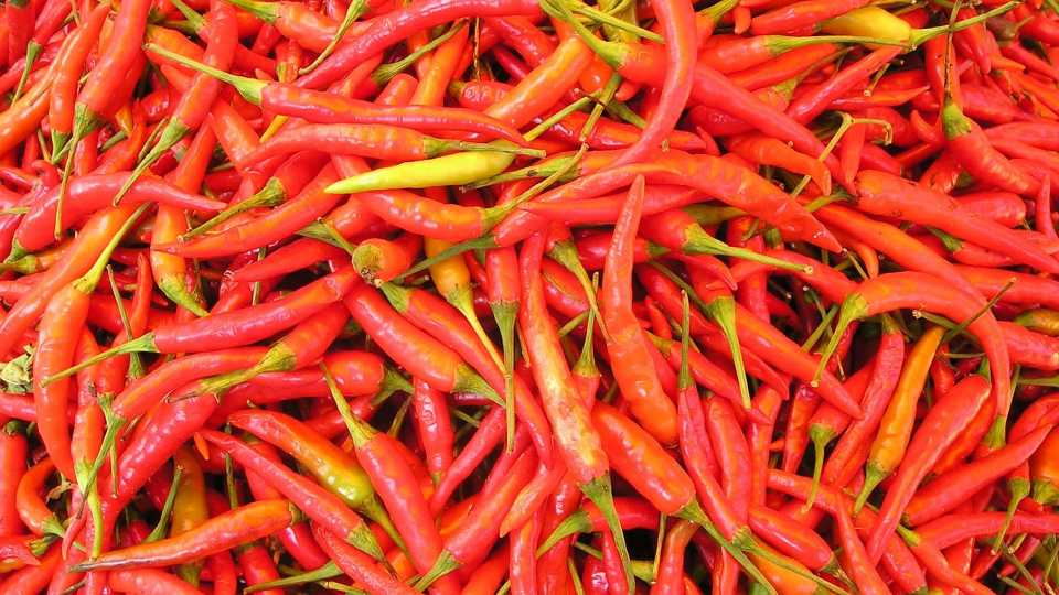 5. Hot peppers (tie)