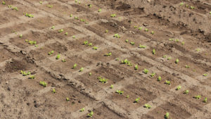 Biocontrol Company Raises $116 Million to Build Global Presence