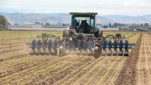 New Study: Global Fertilizer Market Stability Facing Long Road