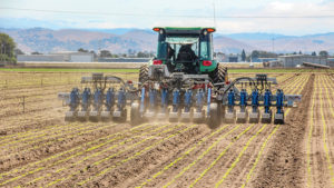 How Auto Weeders and Thinners Work [Photo Essay]