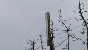 Insights from IFTA Tour Could Give Your Orchard a Boost