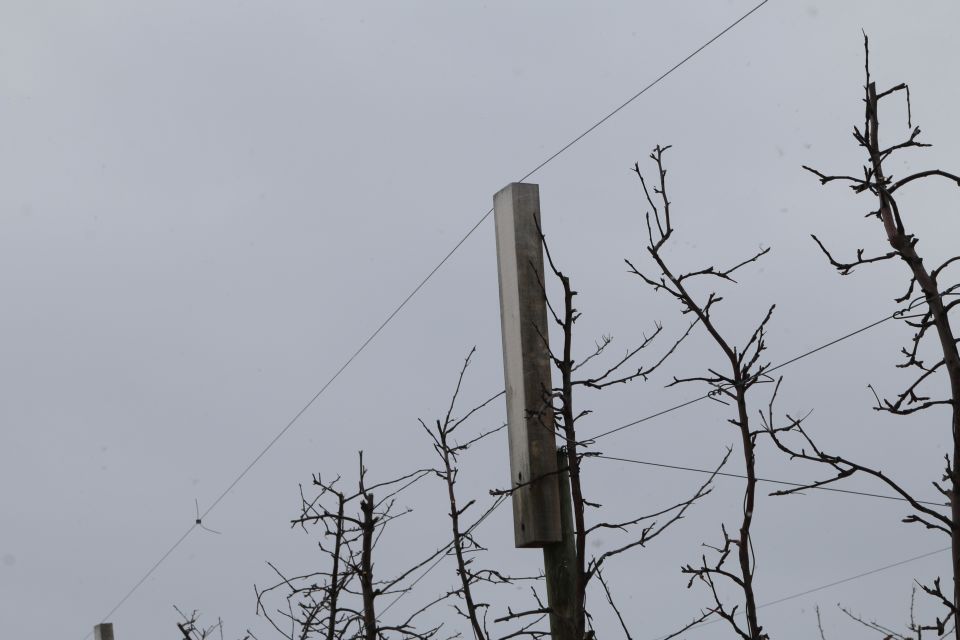 Insights from IFTA Tour Could Give Your Orchard a Boost