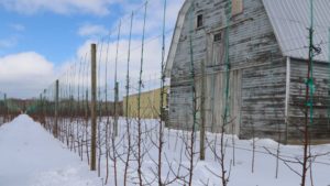 Scary or Merry? Here’s the 2020 Winter Weather Outlook