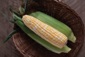 Natural Sweet from Illinois Foundation Seeds, Inc. and Johnny’s Selected Seeds