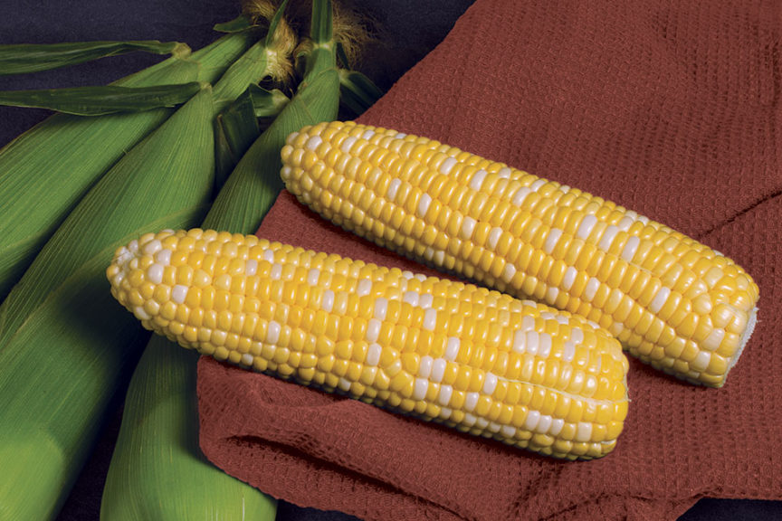 Patriarch from Syngenta