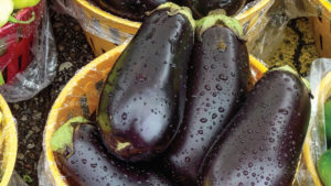 Organic Fertilizers Have an Impact on Vegetable Crop Yield
