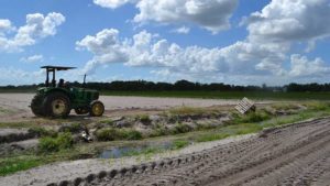 Fate of New Farm Bill Uncertain During Trump’s Second Term