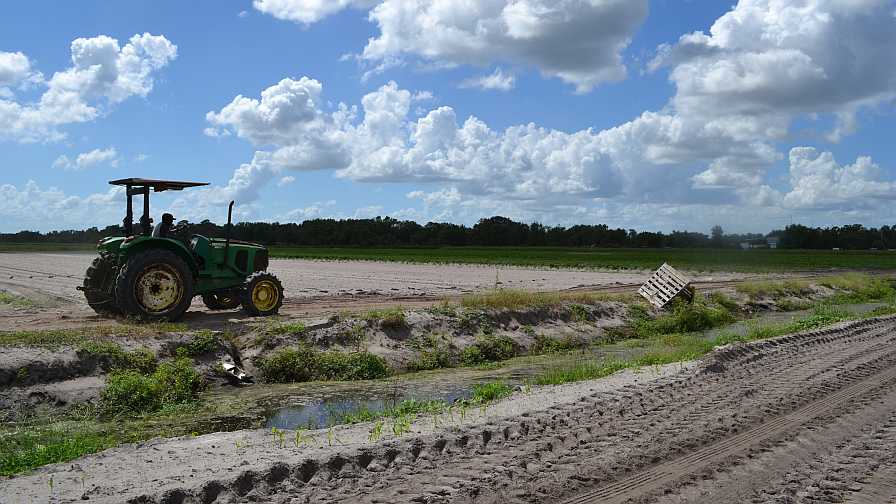 Meet the 2024 Class of the Florida Agricultural Hall of Fame