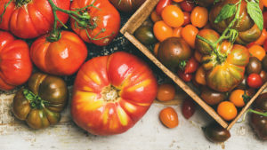 Help Wanted from Tomato Taste Testers Around the World