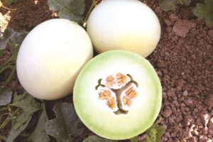 Flavor Journey from Seminis Vegetable Seeds