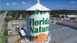 Cheers! Robust Revenue Growth for Florida OJ Producer