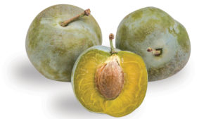 Look at These Rare Fruit Varieties from Andy’s Orchard