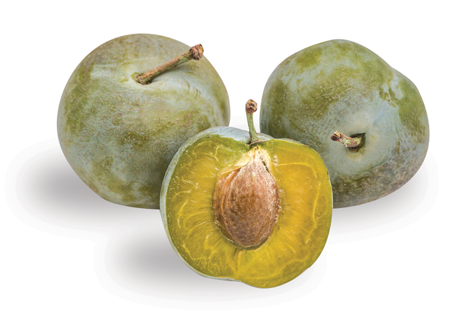 Look at These Rare Fruit Varieties from Andy’s Orchard