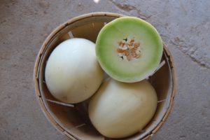 New Moon from U.S. Agriseeds and Seedway
