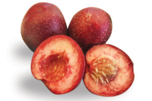 'Raspberry Red' nectarine