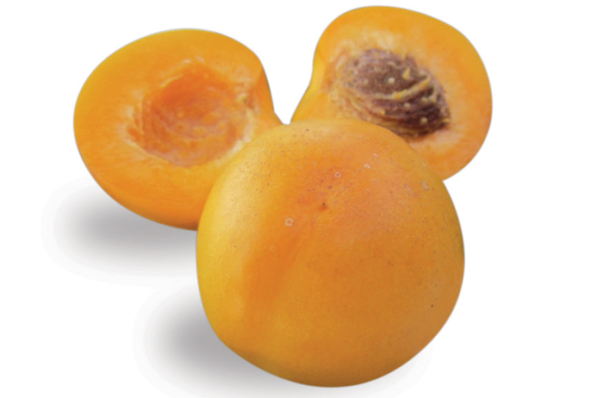 'Silk Road' nectarine