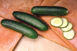 Slice Moore from Sakata Seed America